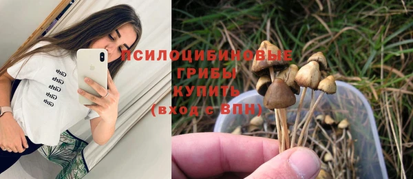 амф Вязники