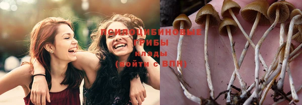 амф Вязники